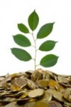 iStock_000005681236XSmall-100x150